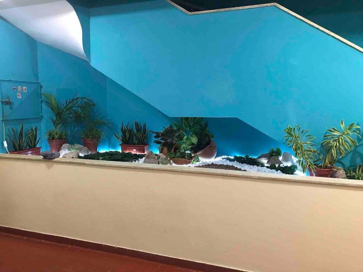Studio Terreo - Tranquilidade Na Cidade | Wi-Fi | Poucos Metros Da Igreja Matriz. Salinopolis Luaran gambar